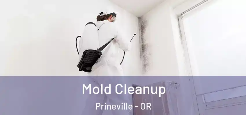  Mold Cleanup Prineville - OR