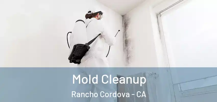  Mold Cleanup Rancho Cordova - CA