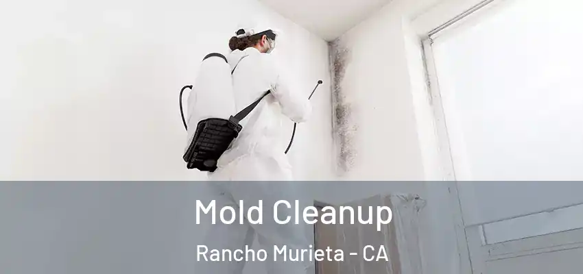  Mold Cleanup Rancho Murieta - CA