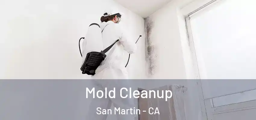  Mold Cleanup San Martin - CA