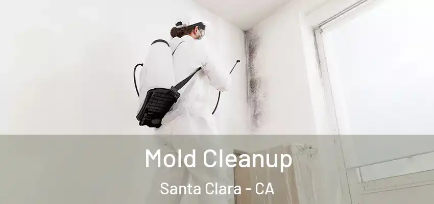  Mold Cleanup Santa Clara - CA