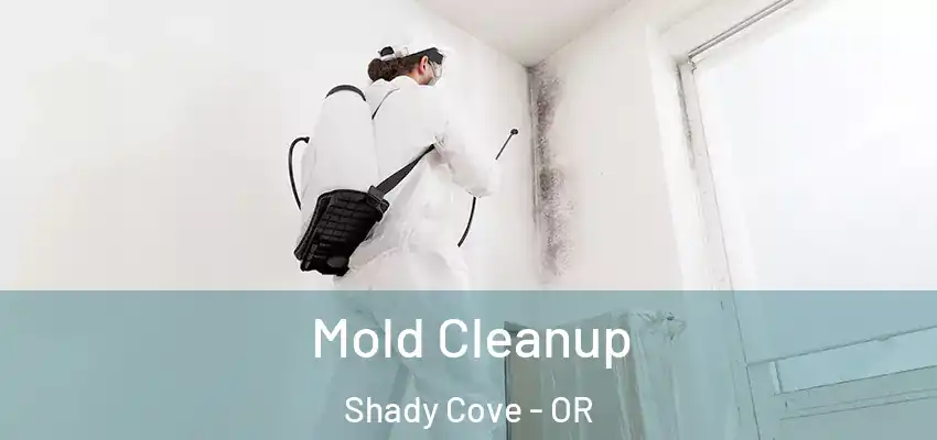  Mold Cleanup Shady Cove - OR
