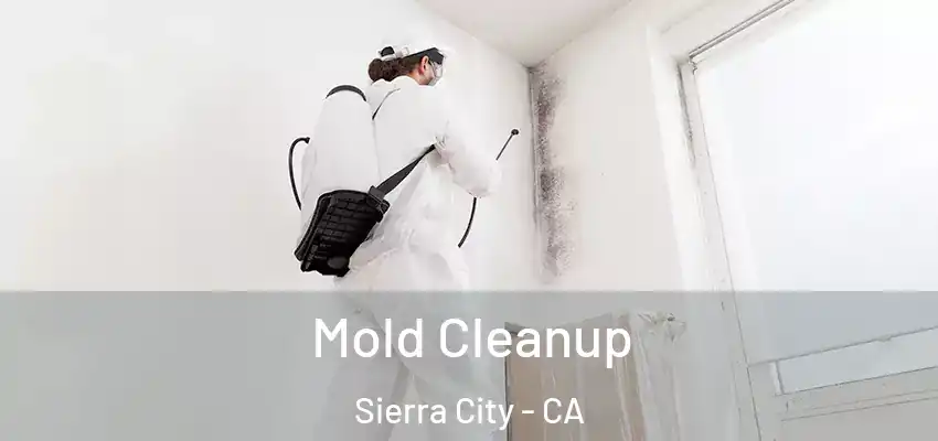  Mold Cleanup Sierra City - CA