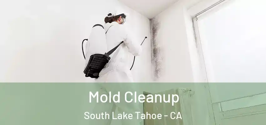  Mold Cleanup South Lake Tahoe - CA