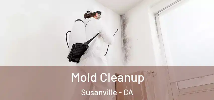 Mold Cleanup Susanville - CA