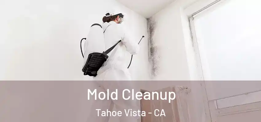 Mold Cleanup Tahoe Vista - CA