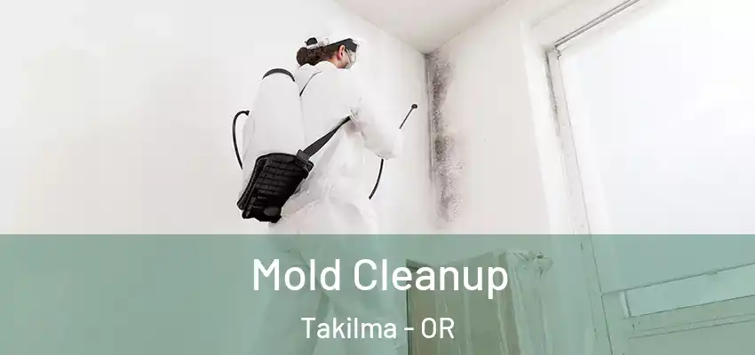  Mold Cleanup Takilma - OR
