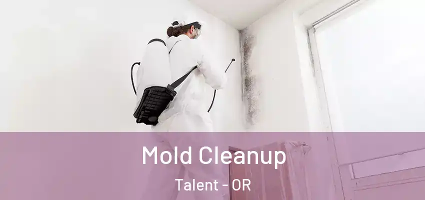  Mold Cleanup Talent - OR