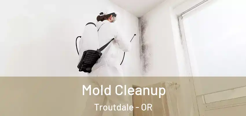  Mold Cleanup Troutdale - OR