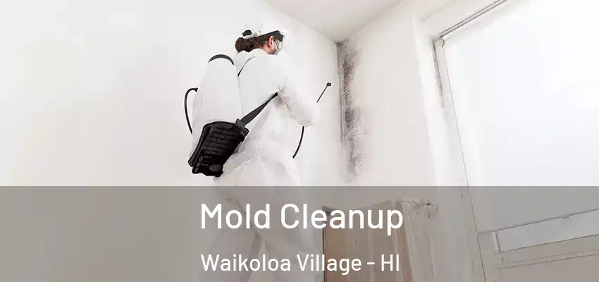  Mold Cleanup Waikoloa Village - HI