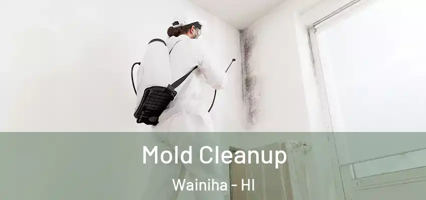 Mold Cleanup Wainiha - HI