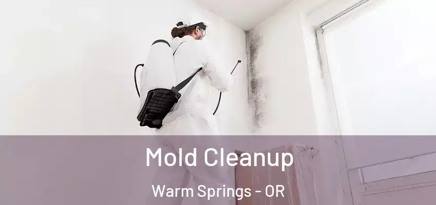 Mold Cleanup Warm Springs - OR