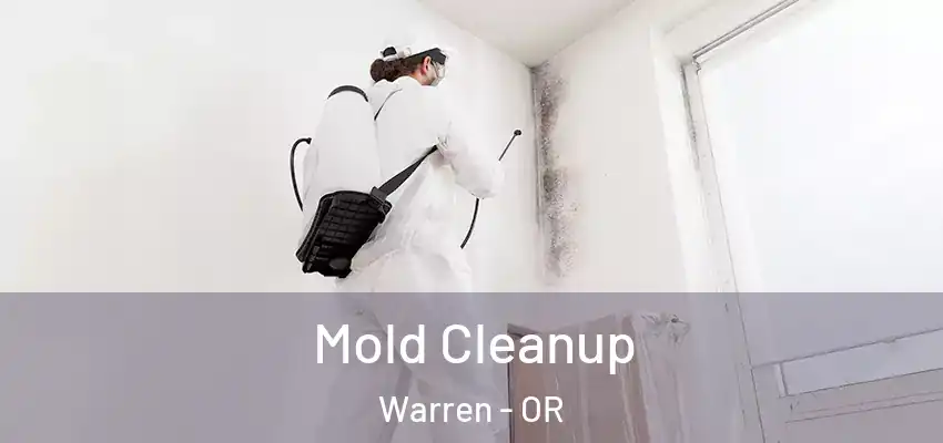  Mold Cleanup Warren - OR