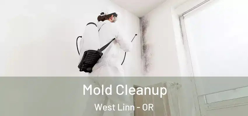 Mold Cleanup West Linn - OR