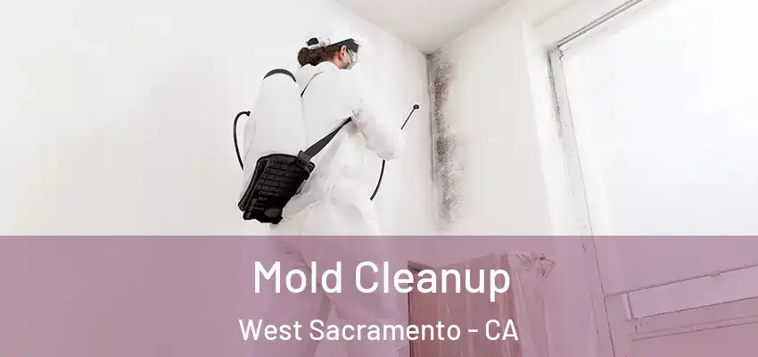  Mold Cleanup West Sacramento - CA