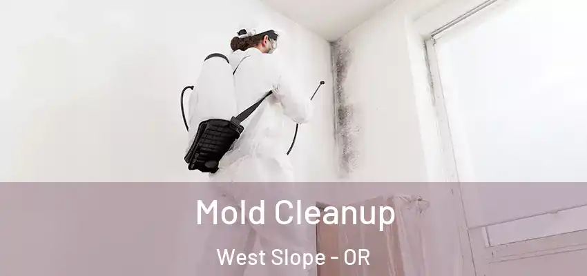 Mold Cleanup West Slope - OR