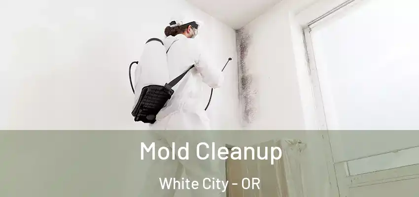  Mold Cleanup White City - OR
