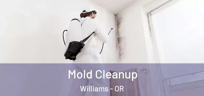  Mold Cleanup Williams - OR