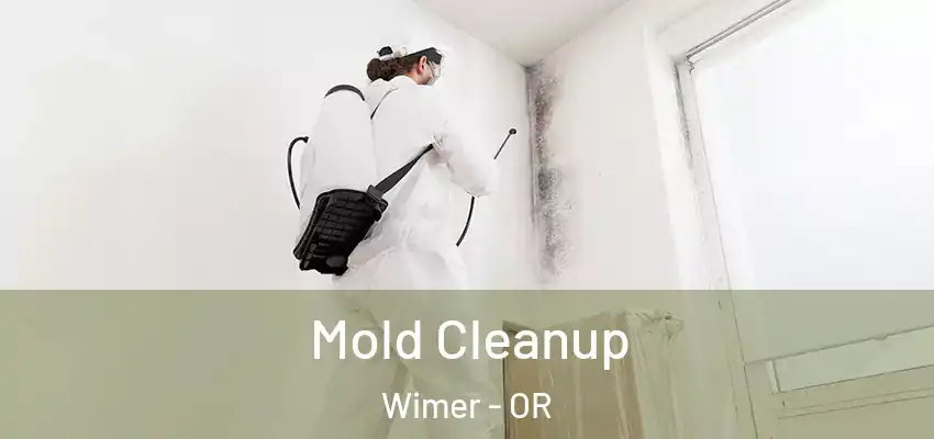  Mold Cleanup Wimer - OR