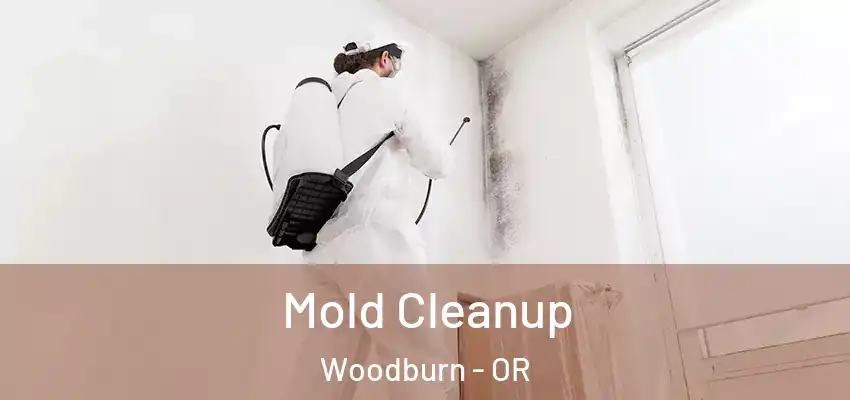  Mold Cleanup Woodburn - OR
