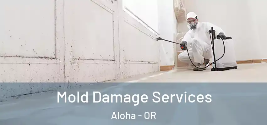  Mold Damage Services Aloha - OR