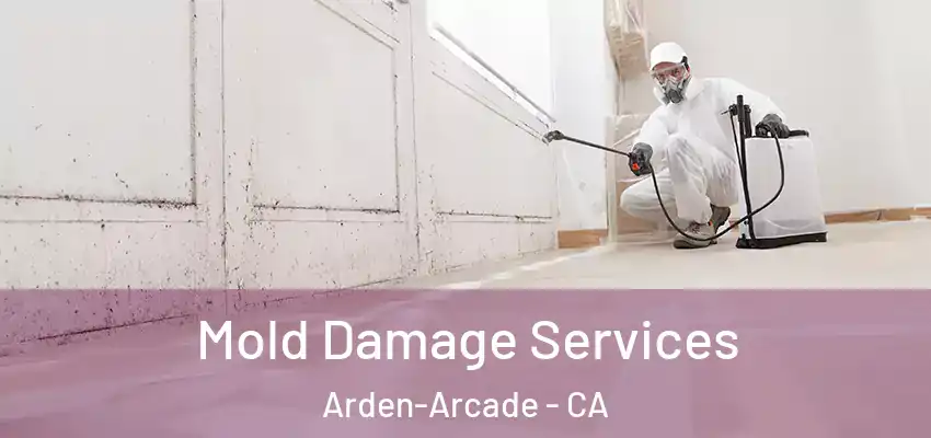 Mold Damage Services Arden-Arcade - CA
