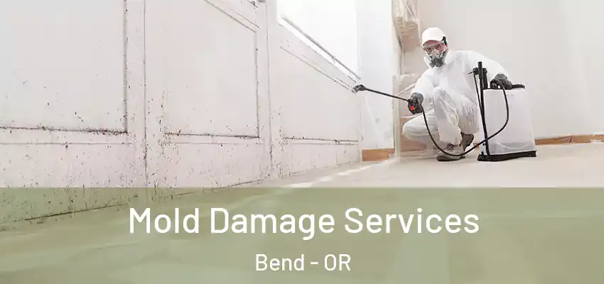  Mold Damage Services Bend - OR