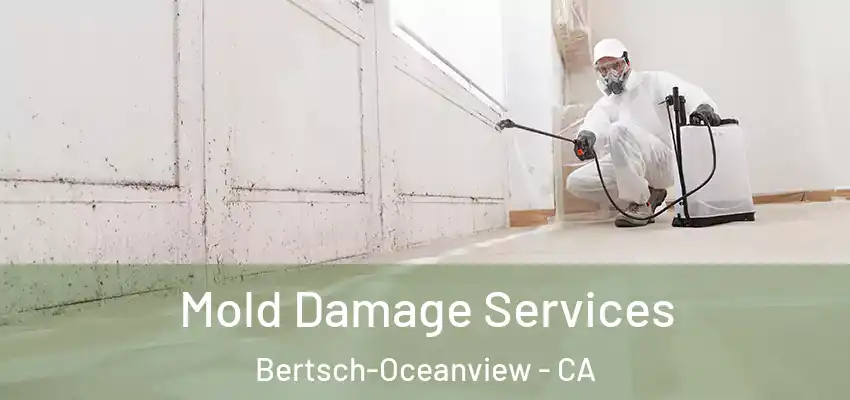  Mold Damage Services Bertsch-Oceanview - CA