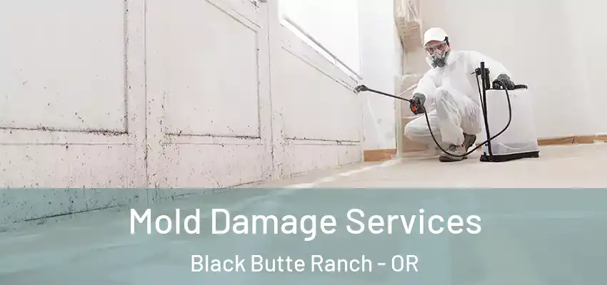  Mold Damage Services Black Butte Ranch - OR