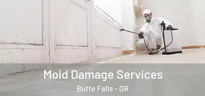 Mold Damage Services Butte Falls - OR