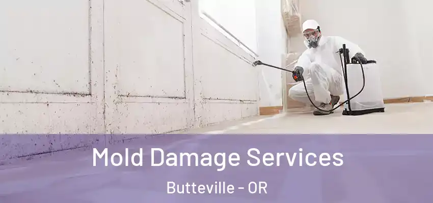 Mold Damage Services Butteville - OR