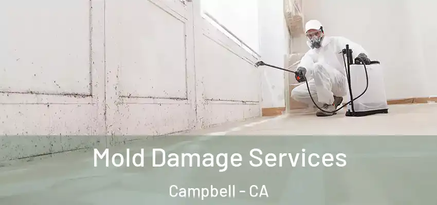  Mold Damage Services Campbell - CA
