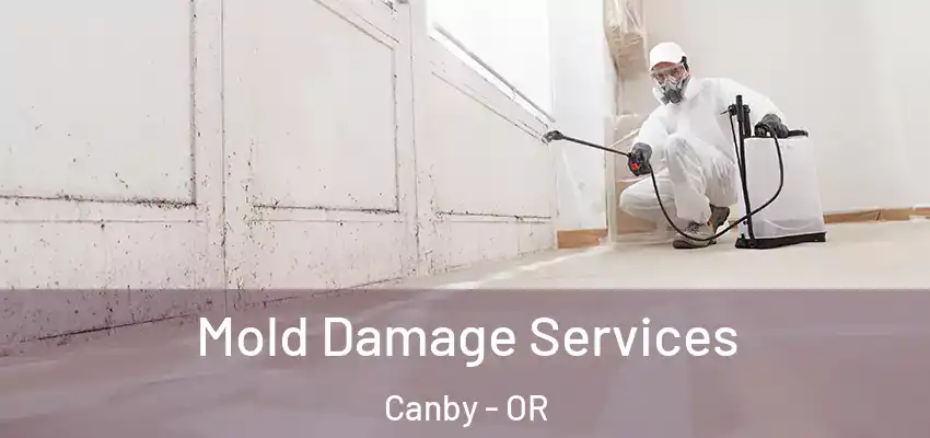  Mold Damage Services Canby - OR