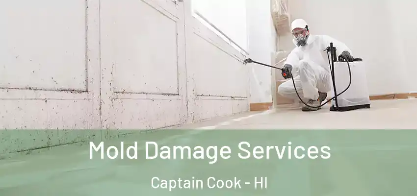 Mold Damage Services Captain Cook - HI