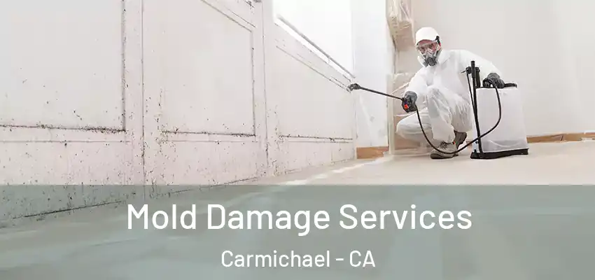  Mold Damage Services Carmichael - CA