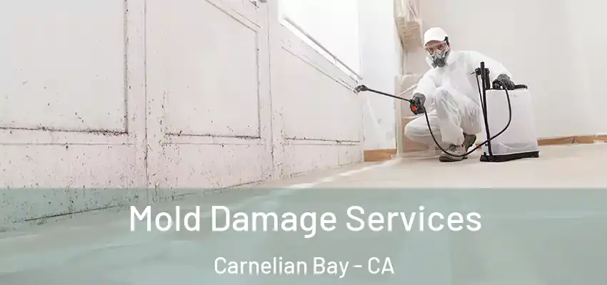  Mold Damage Services Carnelian Bay - CA