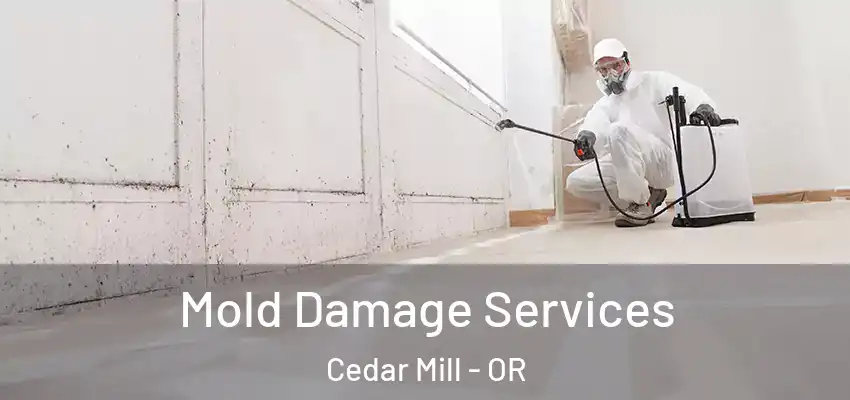  Mold Damage Services Cedar Mill - OR
