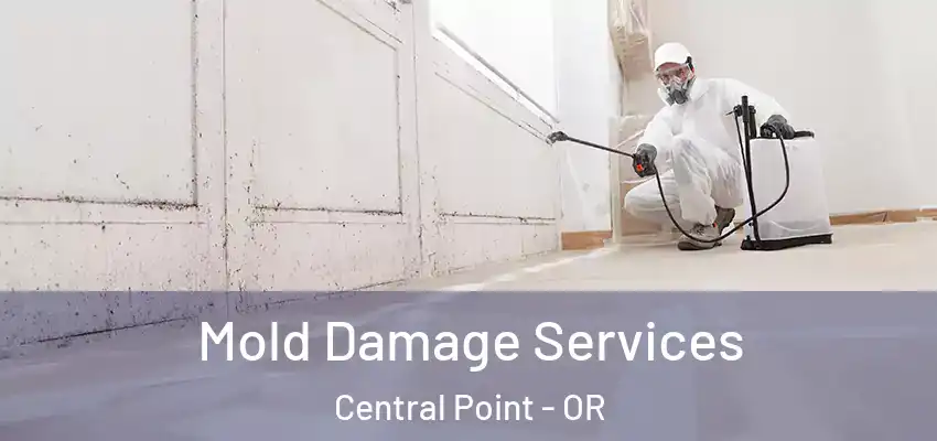  Mold Damage Services Central Point - OR