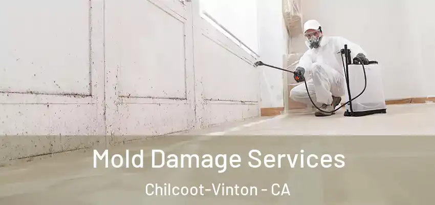 Mold Damage Services Chilcoot-Vinton - CA