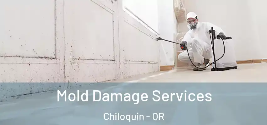  Mold Damage Services Chiloquin - OR