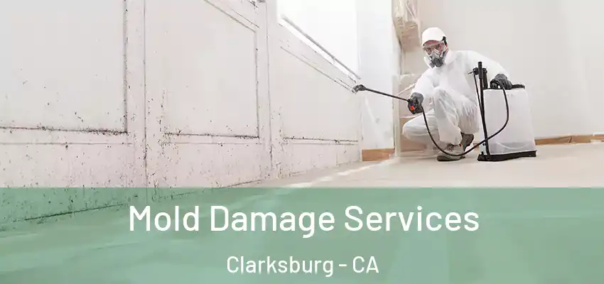 Mold Damage Services Clarksburg - CA