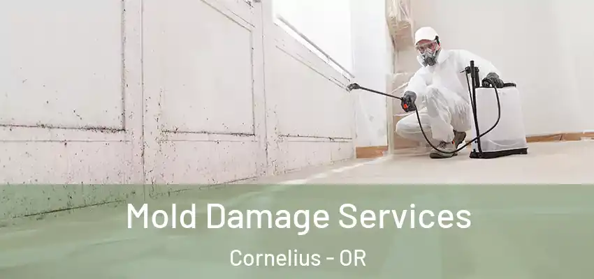  Mold Damage Services Cornelius - OR