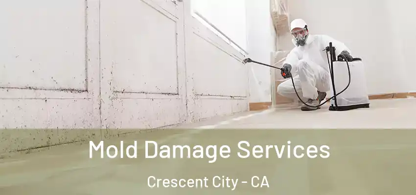  Mold Damage Services Crescent City - CA