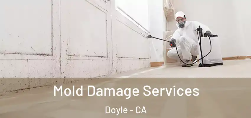  Mold Damage Services Doyle - CA