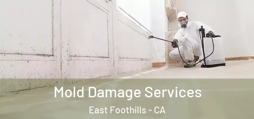  Mold Damage Services East Foothills - CA