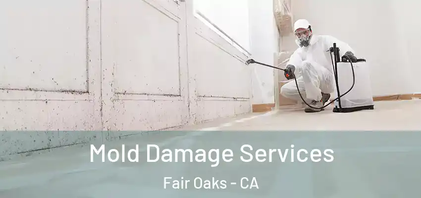 Mold Damage Services Fair Oaks - CA