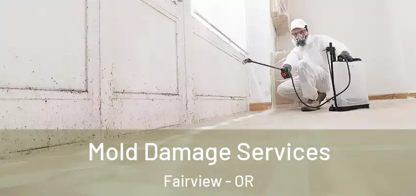 Mold Damage Services Fairview - OR