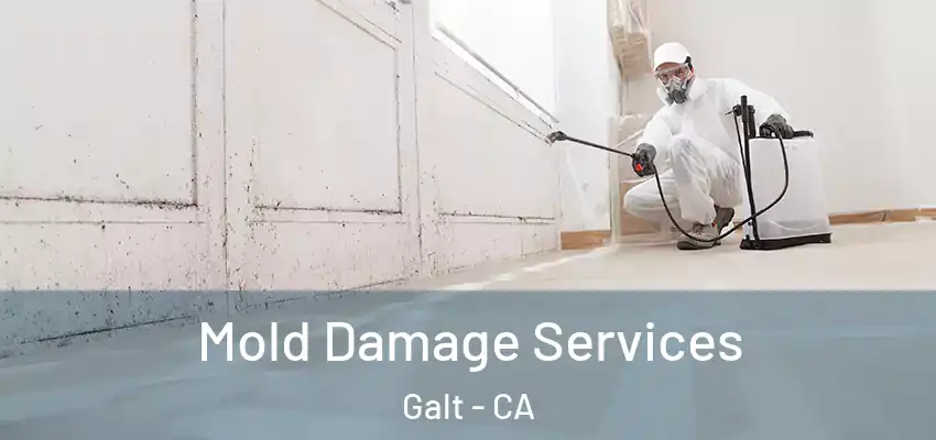  Mold Damage Services Galt - CA