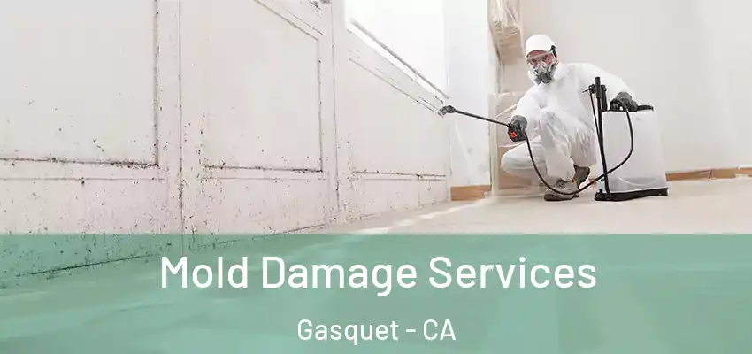  Mold Damage Services Gasquet - CA