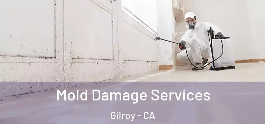  Mold Damage Services Gilroy - CA